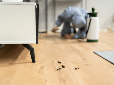 About Sands Country Management - pest control services experts in Plover