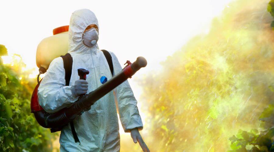 Professional Pest Control Services  in Plover